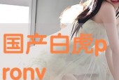 pron国产在线